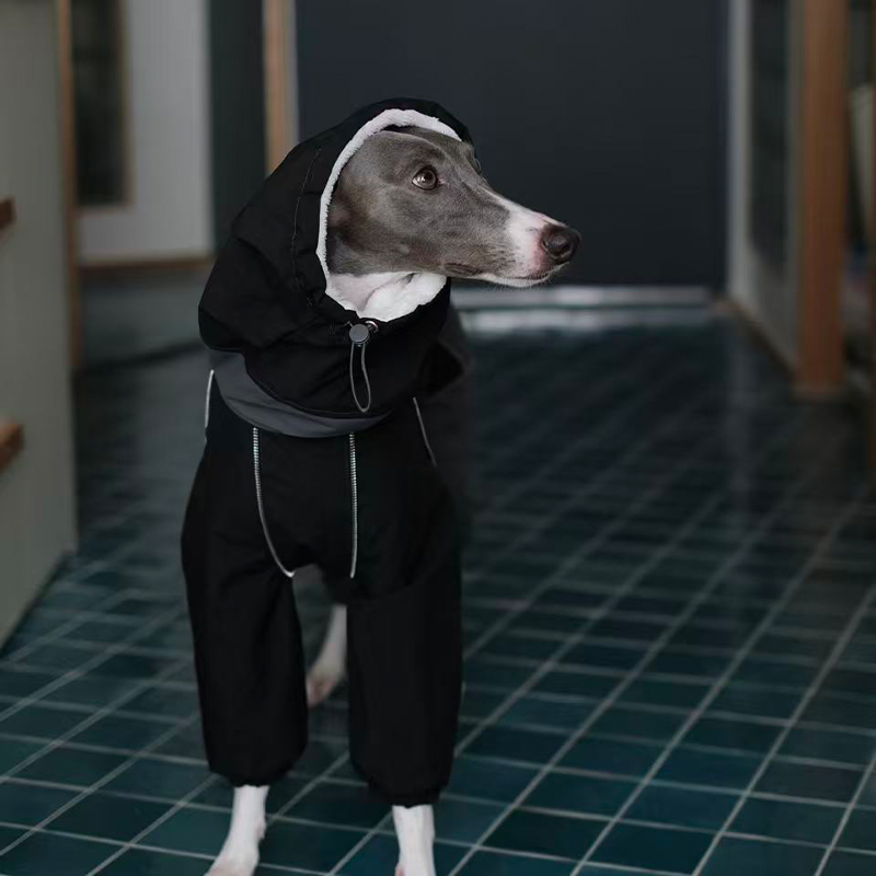 Winter Waterproof Windproof Onesie Italian Greyhound Whippet Clothes