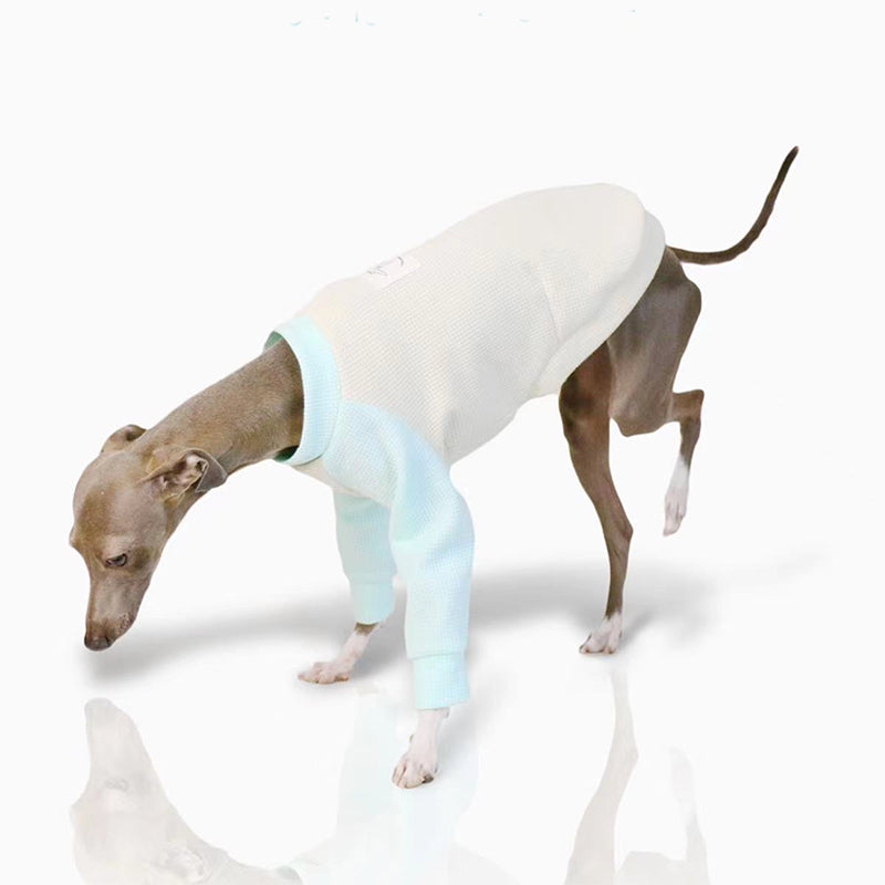 Cotton Soft Shirt Italian Greyhound Whippet Dog Clothes - PIKAPIKA