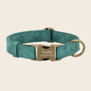 Green Dog Collar – Premium PU Leather Collar with Metal Tag