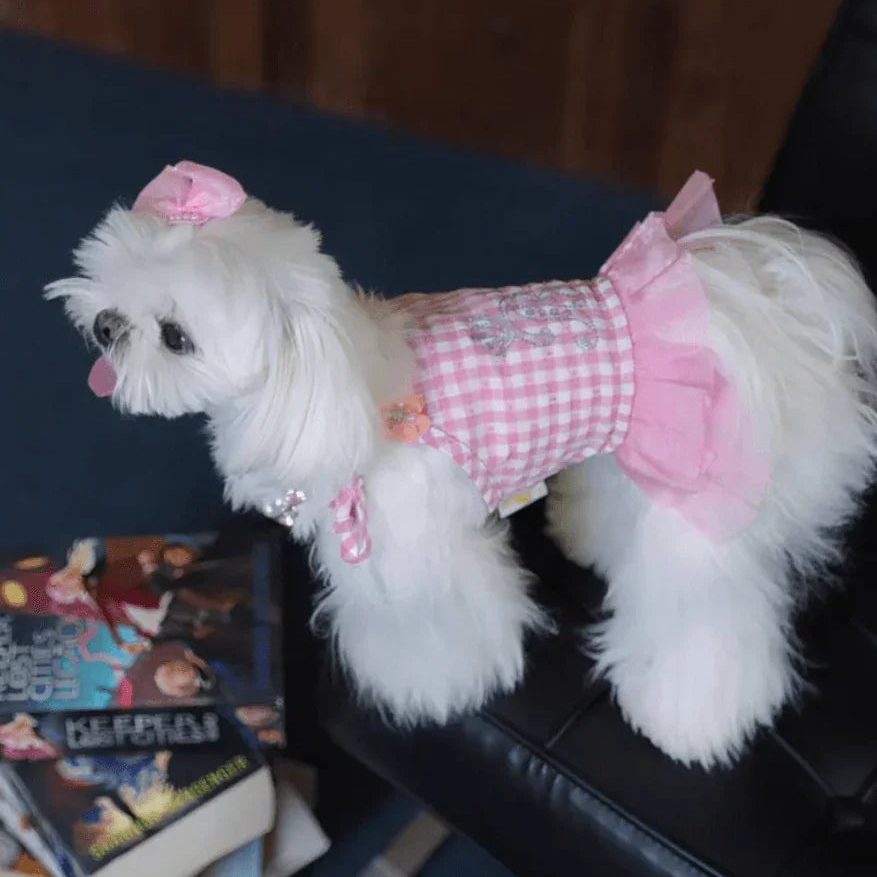 BELO Bubble Skirt Pet Dress in Pink – Cute Dog / Puppy Dress Outfit - TAHUPET.co