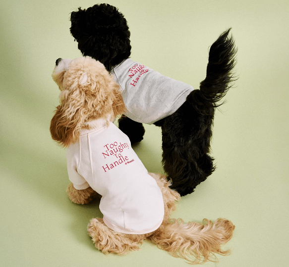 Printed Cotton Pet Sweater – Dog Fall/Winter Top