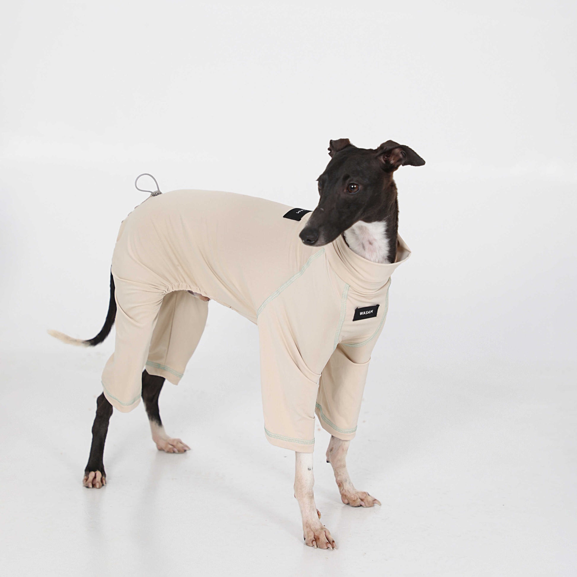 Cotton Soft Summer Onesie Italian Greyhound Whippet Dog Clothes - PIKAPIKA
