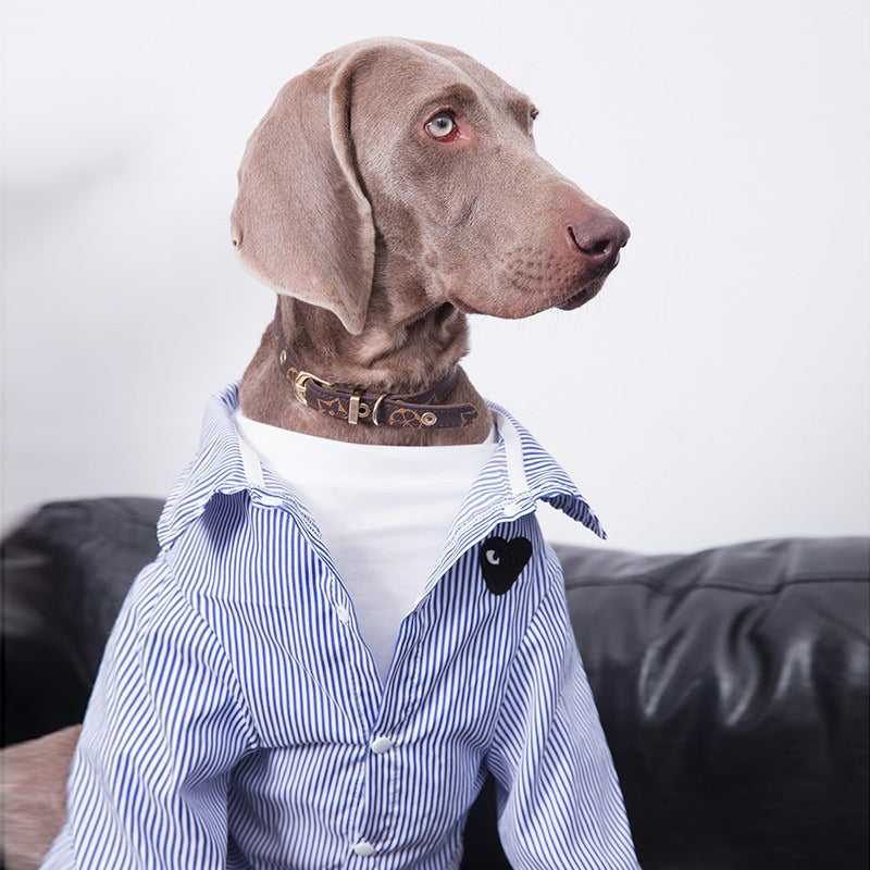 Soft Cotton Breathable Shirt Big Dog Clothes - PIKAPIKA