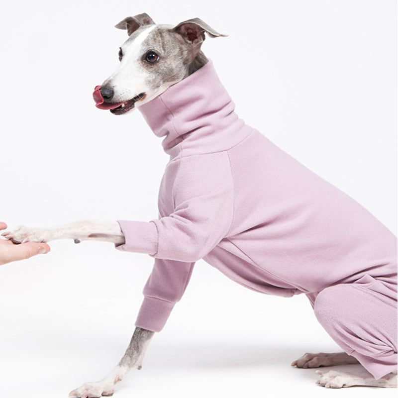 Soft Cotton Onesie for Italian Greyhound Whippet Dog Clothes - PIKAPIKA