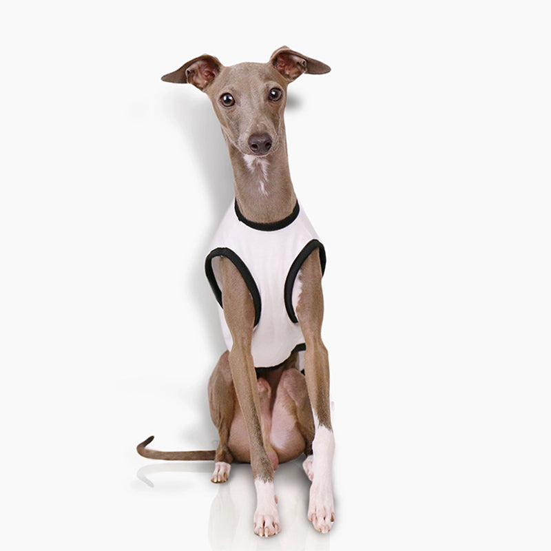 Cotton Soft Tank Top Shirt Italian Greyhound Whippet Dog Clothes - PIKAPIKA