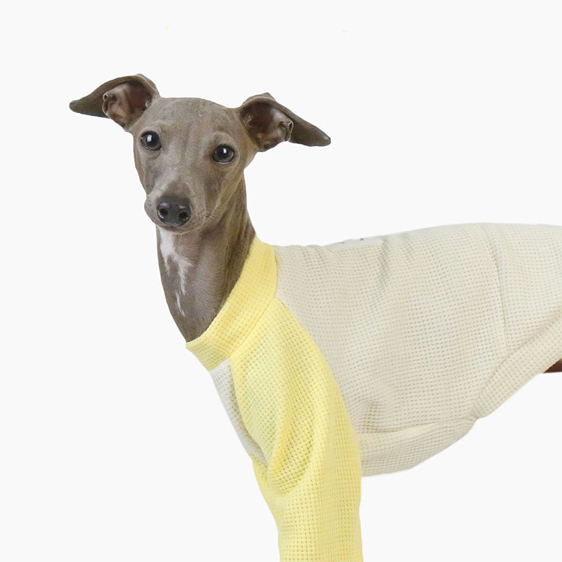 Cotton Soft Shirt Italian Greyhound Whippet Dog Clothes - PIKAPIKA