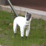 Warm Turtleneck Dog Onesies Fall Winter Pet Outfit  Italian greyhound Whippet Clothes