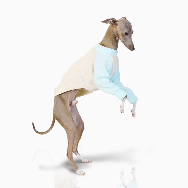 Cotton Soft Shirt Italian Greyhound Whippet Dog Clothes - PIKAPIKA