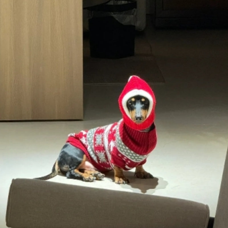 Weenie Dog Clothes Christmas Red Sweater for Dogs Dachshund Warm Winter Outfit