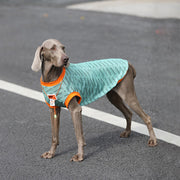 Sport Mesh Tank Top T Shirt Big Dog Clothes - PIKAPIKA