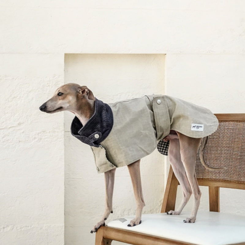 Waxed Trench Coat Jacket Cape for Italian Greyhound Whippet