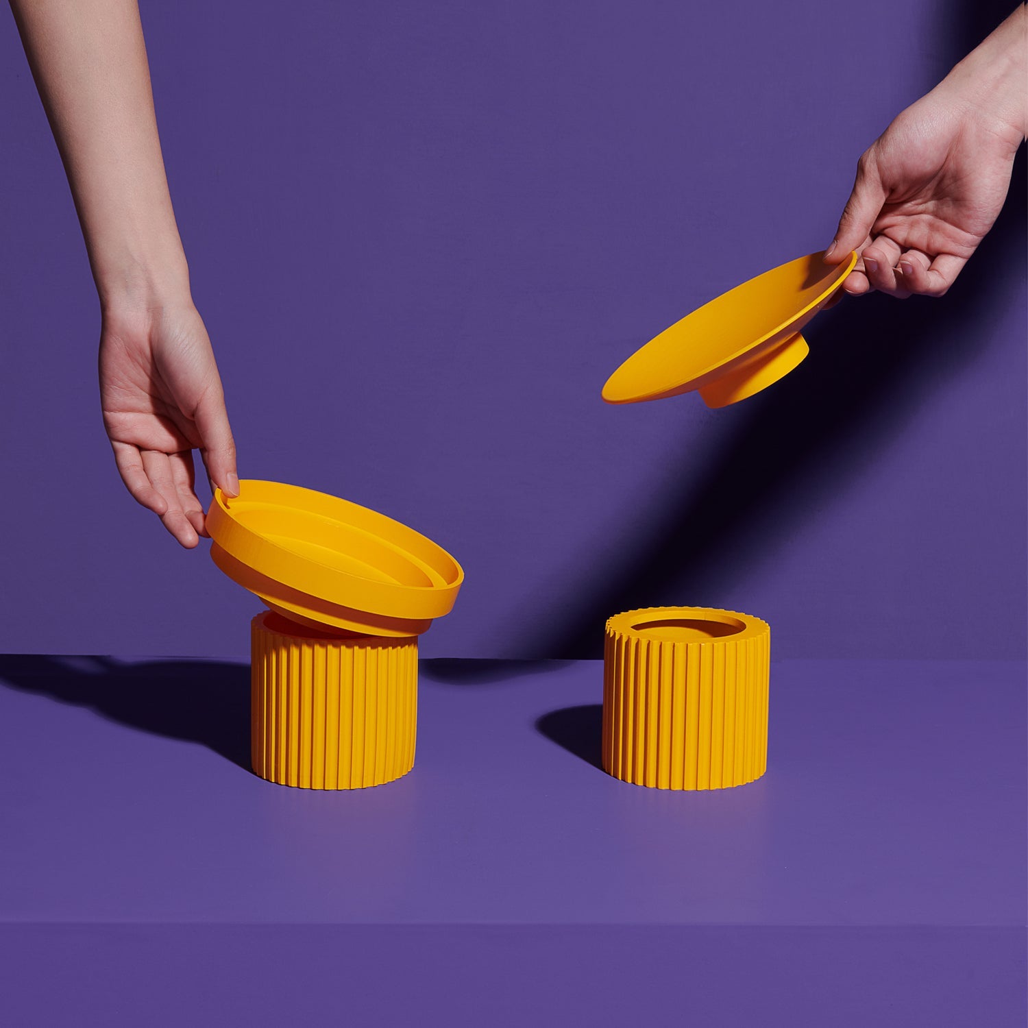 Cat Raised Food Bowl Feeder and Waterer - PIKAPIKA