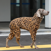 Fleece Winter Onesies for Big Dogs Leopard Print Warm Clothes
