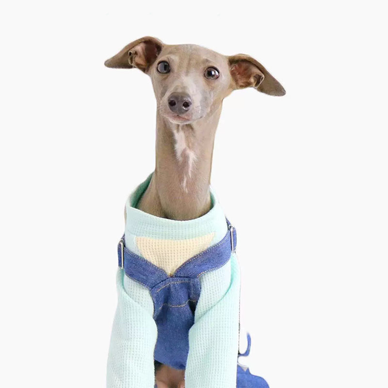 Denim Cotton Pants Italian Greyhound Whippet Dog Clothes - PIKAPIKA