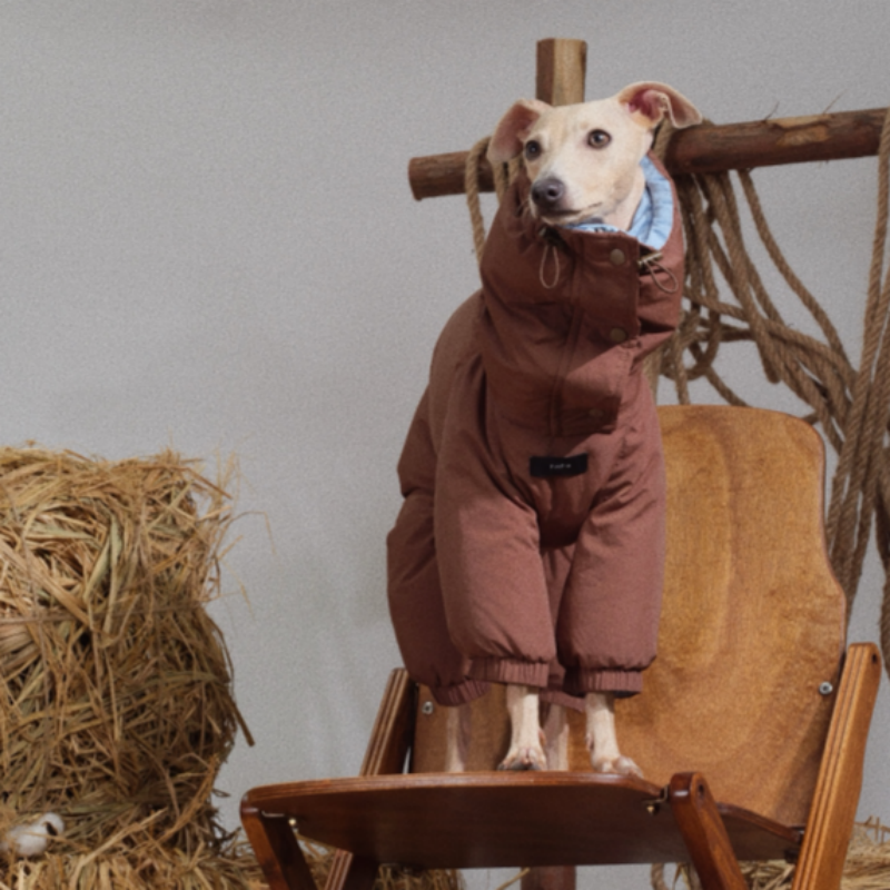 Handmade Reversible Waterproof Down Snowsuit Four-Leg Outfit for Italian Greyhound