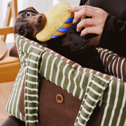 Avocado Pet Carrier Bag – Baby-Grade PP Cotton for Dogs & Cats