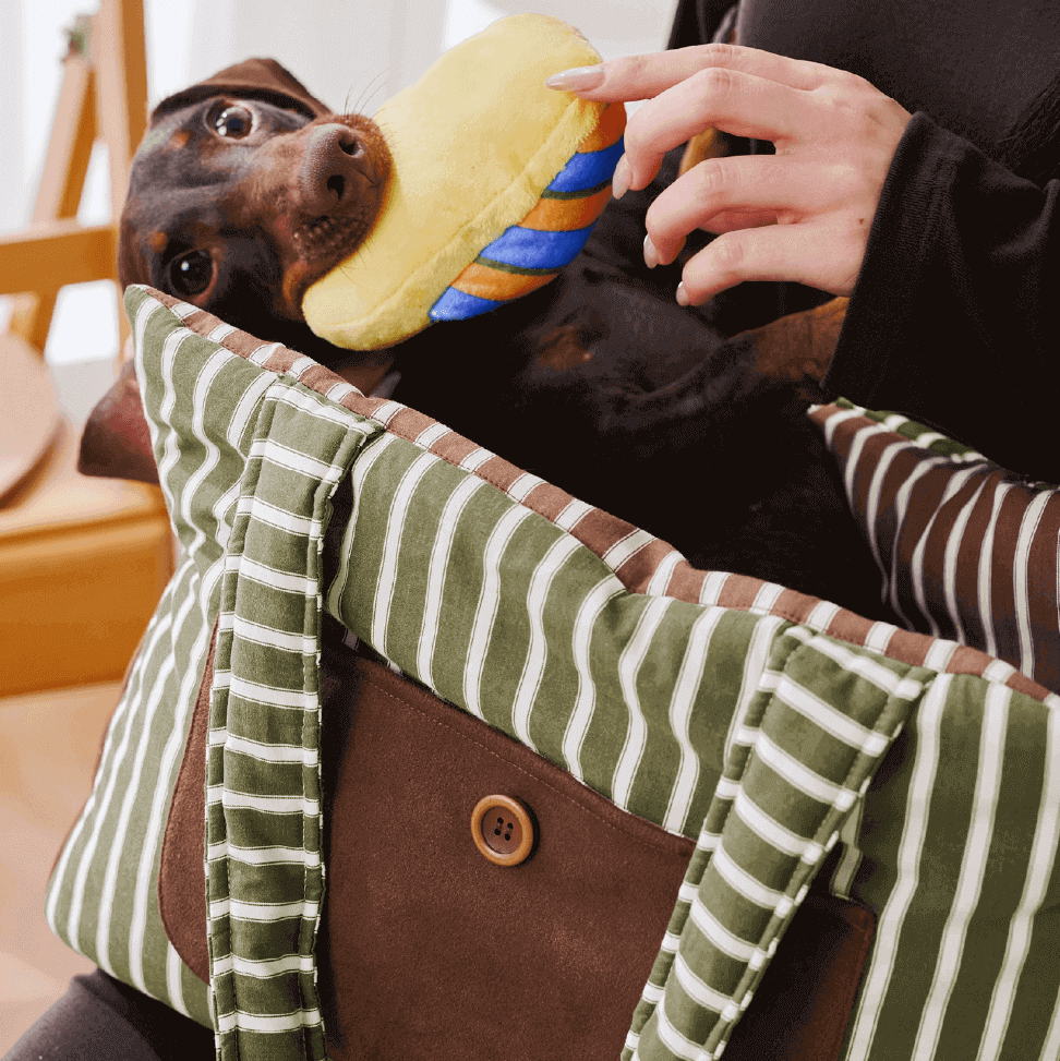 Avocado Pet Carrier Bag – Baby-Grade PP Cotton for Dogs & Cats