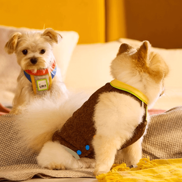 Rainbow Button Dog Vest – Adjustable Cozy Pet Waistcoat