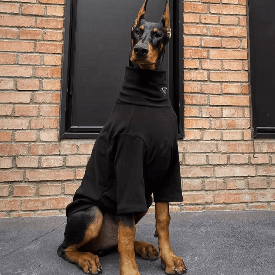 Thermal Dog Undershirt - Plush Lined Shirt for Large Breeds