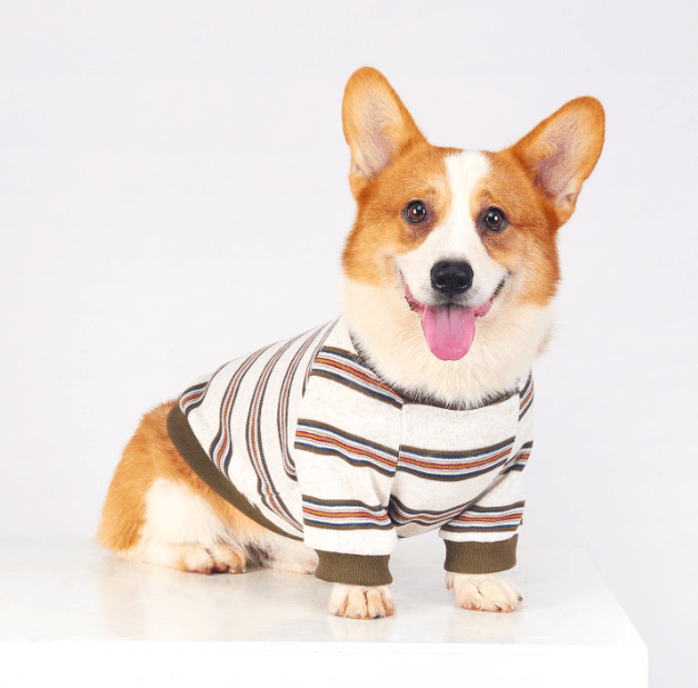 Striped Dog Sweatshirt – Soft Non-Irritating Pet Apparel