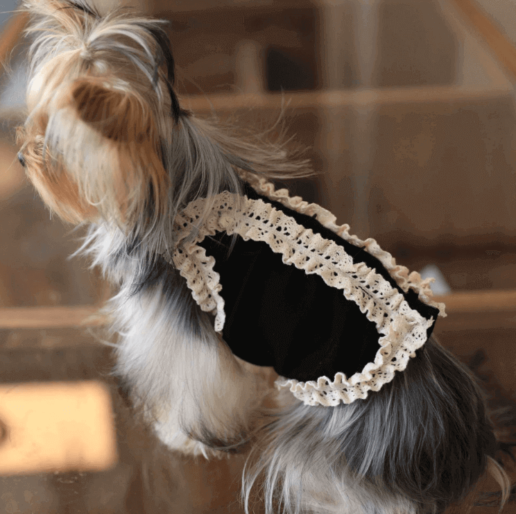 Black Tank Top - Lace Trim Cotton Sleeveless Vest