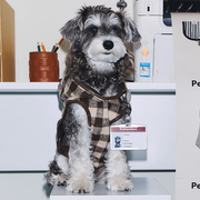 Tweed Dog Cloak - Brown Check Cape for Dogs