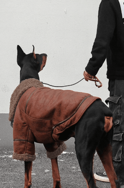 Faux Leather Dog Jacket - Plush Lined Collar Coat for Warmth