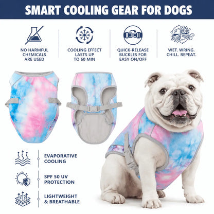 Beat the Heat: Instant Dog Cooling Vest