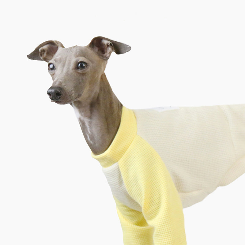 Cotton Soft Shirt Italian Greyhound Whippet Dog Clothes - PIKAPIKA
