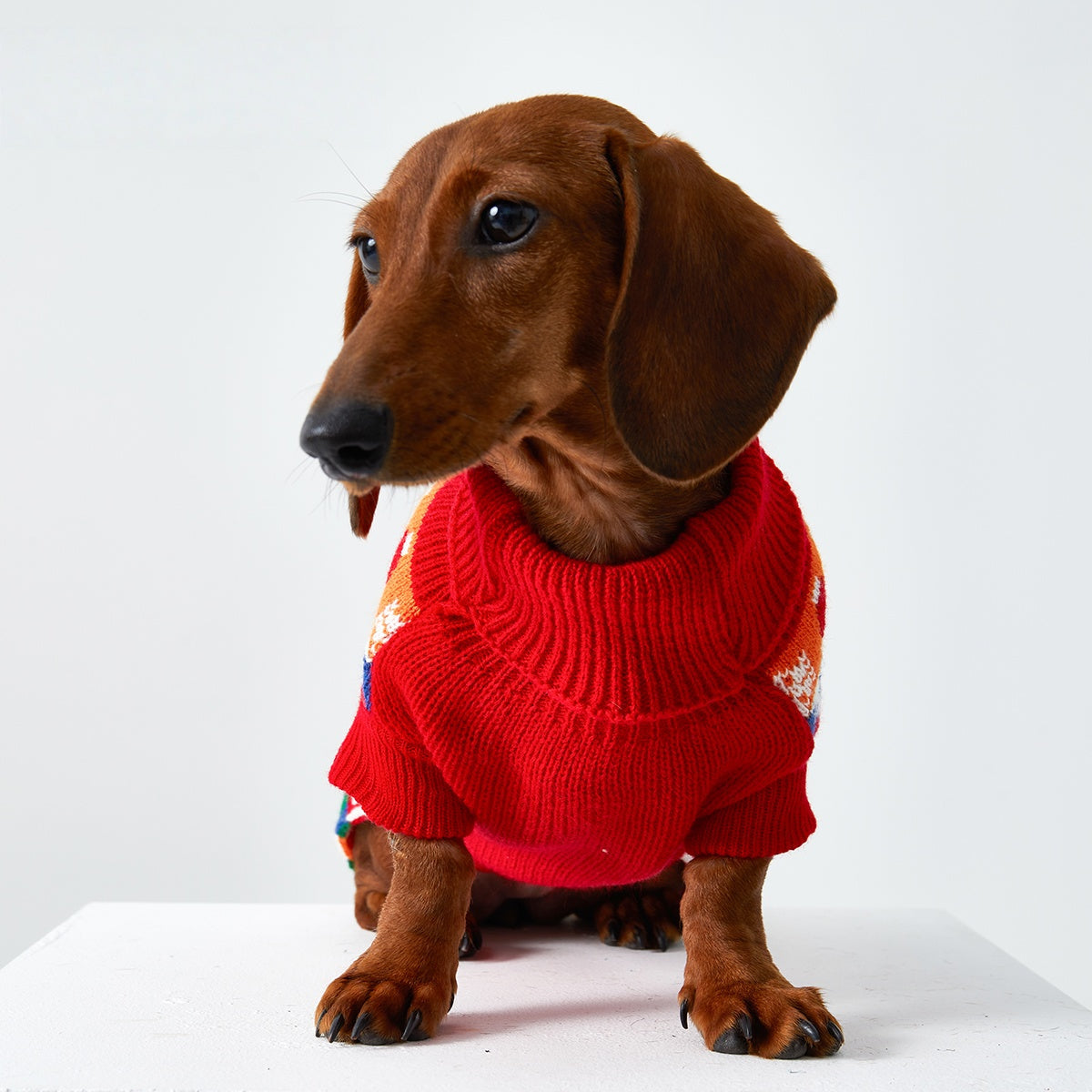 Weenie Dog Clothes Christmas Sweater Dog Clothes Dachshund Outfit