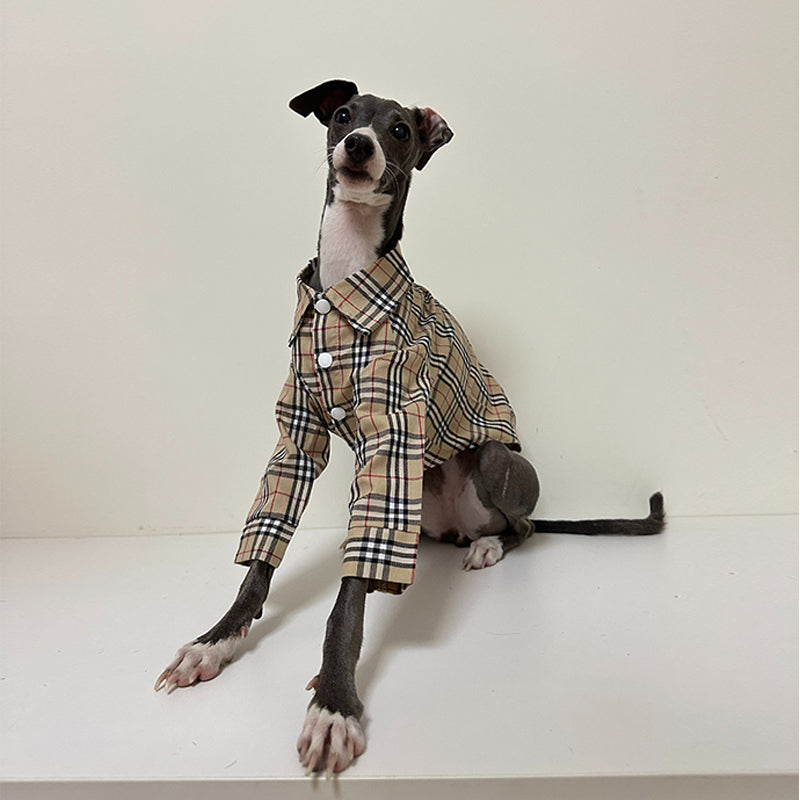 Soft Cotton Shirt for Italian Greyhound Whippet Dog Clothes - PIKAPIKA