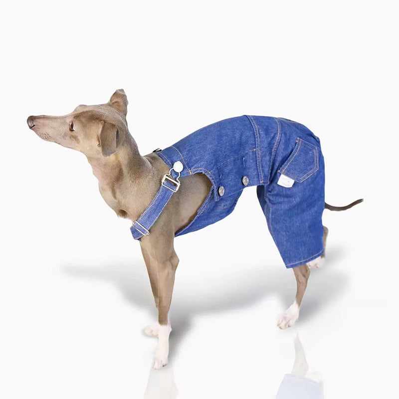Denim Cotton Pants Italian Greyhound Whippet Dog Clothes - PIKAPIKA