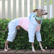 Warm Color Block Onesies for Italian Greyhound Whippet Clothes