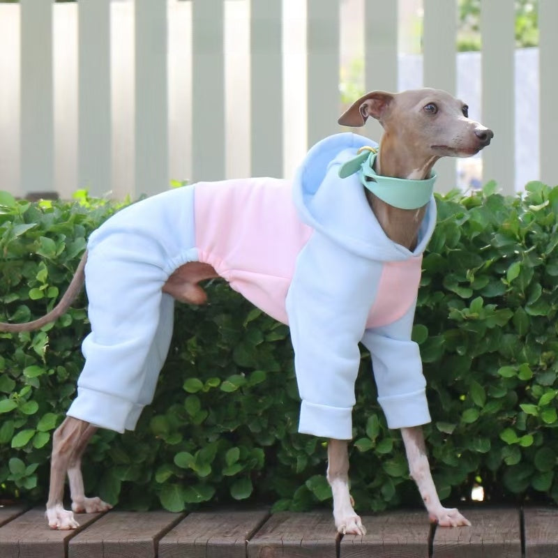 Warm Color Block Onesies for Italian Greyhound Whippet Clothes