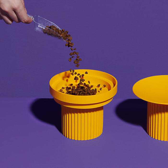 Cat Raised Food Bowl Feeder and Waterer - PIKAPIKA