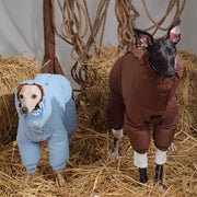 Handmade Reversible Waterproof Down Snowsuit Four-Leg Outfit for Italian Greyhound