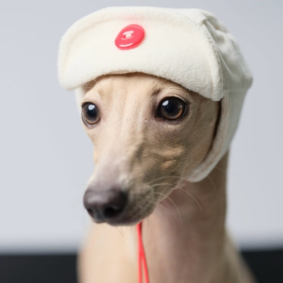 Handmade Adjustable Fleece Aviator Hat Italian Greyhound Winter Warm Dog Hat