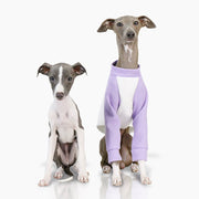 Cotton Soft Shirt Italian Greyhound Whippet Dog Clothes - PIKAPIKA