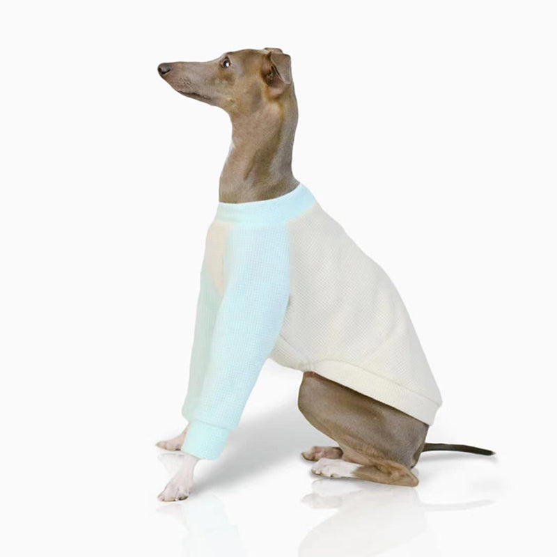 Cotton Soft Shirt Italian Greyhound Whippet Dog Clothes - PIKAPIKA