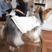 Pet T-Shirt Cotton Blouse with Ruffle Hem and Rhinestone