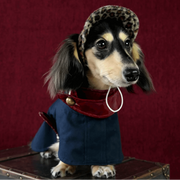 Adjustable Dog Trench Coat - Timeless Old Money Style