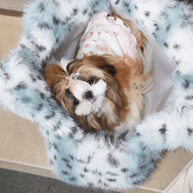 Leopard Print Pet Carrier Tote - Plush Handheld & Shoulder Cat Dog Bag