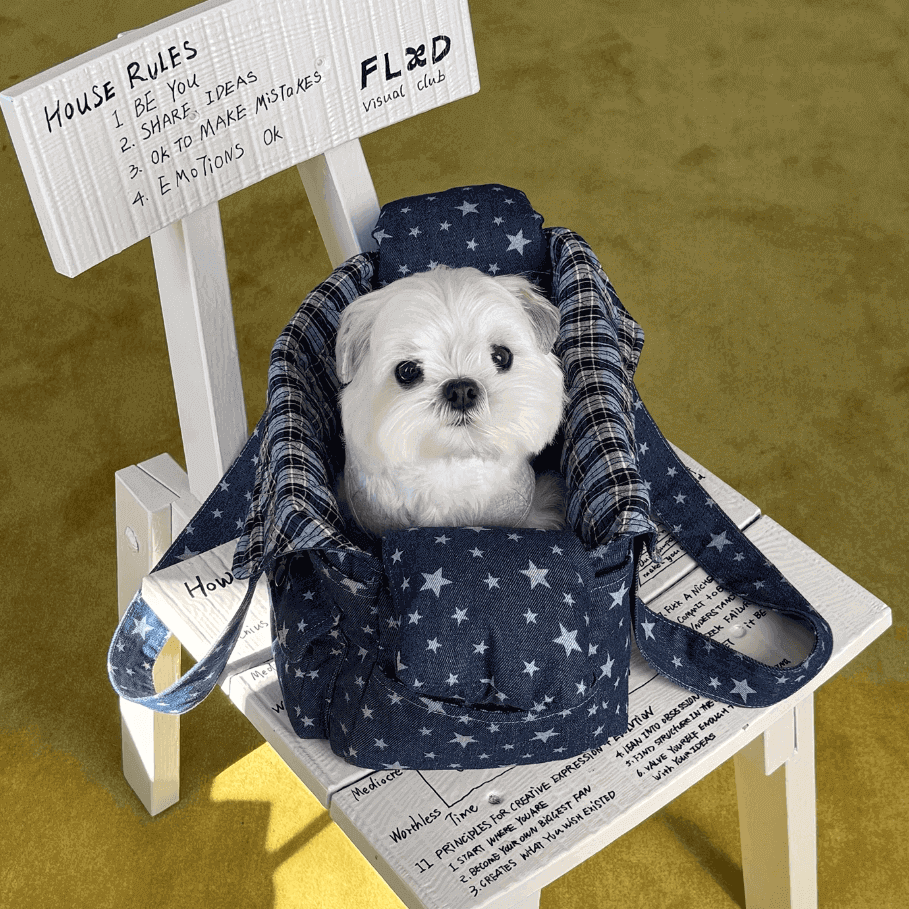 Star Fleece Denim Pet Tote Bag - Cozy Pet Carrier