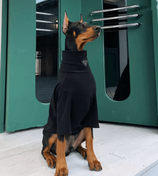 Thermal Dog Undershirt - Plush Lined Shirt for Large Breeds