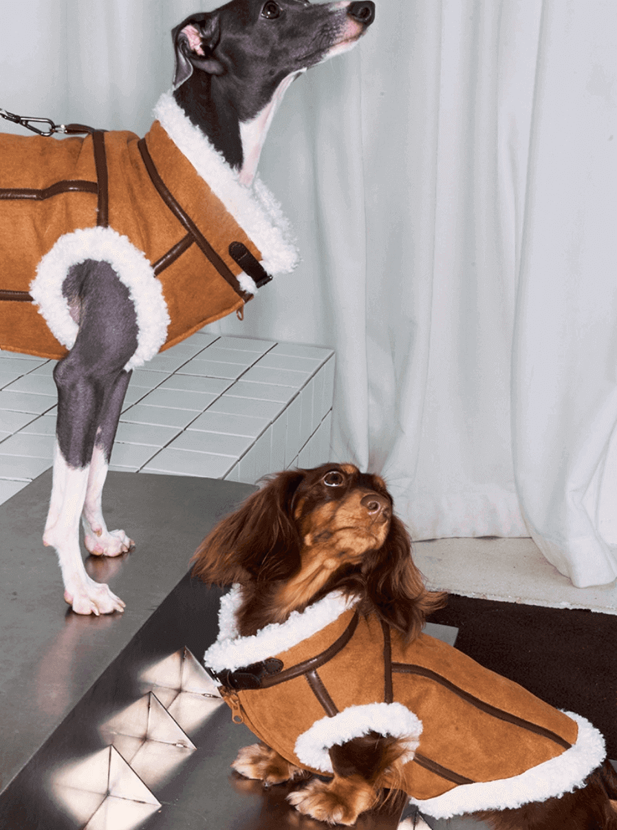 Leather Pet Jacket – Warm Faux Fur Dog/Cat Vest