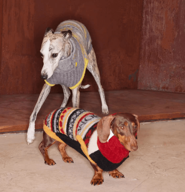 Fair Isle Dog Vest - Classic Knit Sweater for Pets