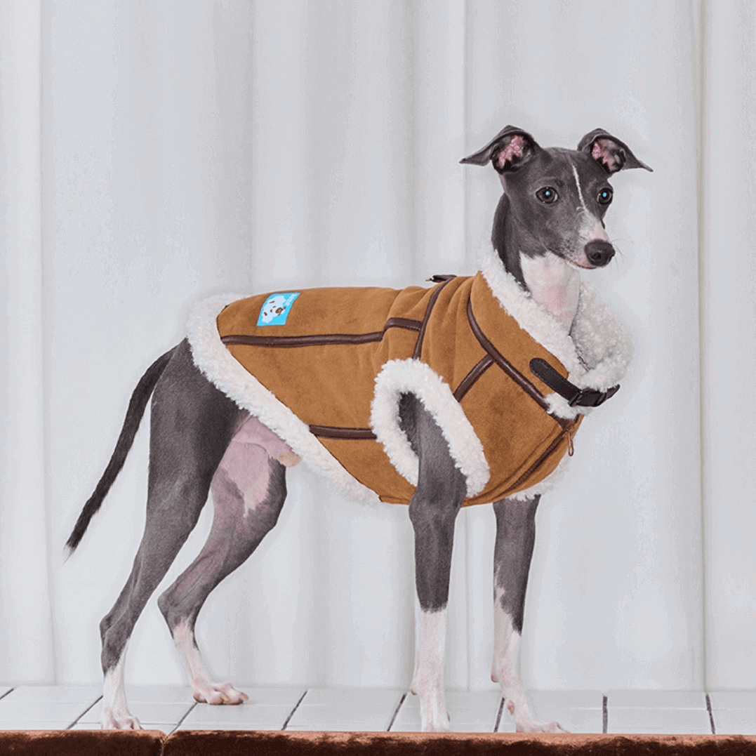 Leather Pet Jacket – Warm Faux Fur Dog/Cat Vest