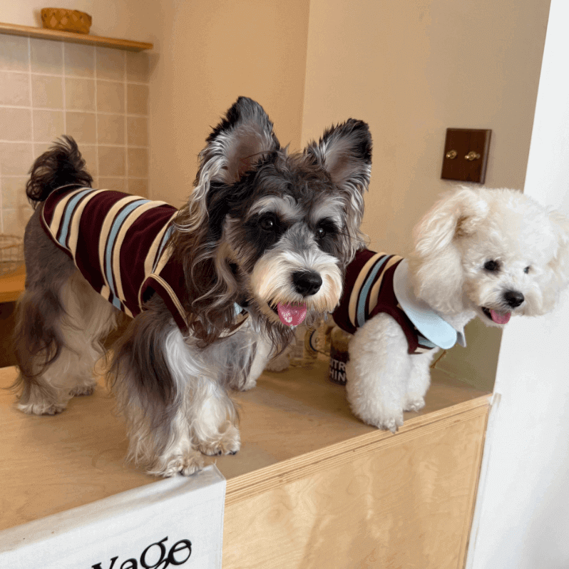 Pet Vest Plush Lined Sleeveless Dog Top Pink Size XXS-XL