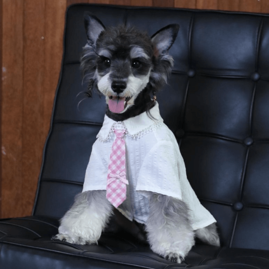 BELO Pink & White Dog Shirt with Tie