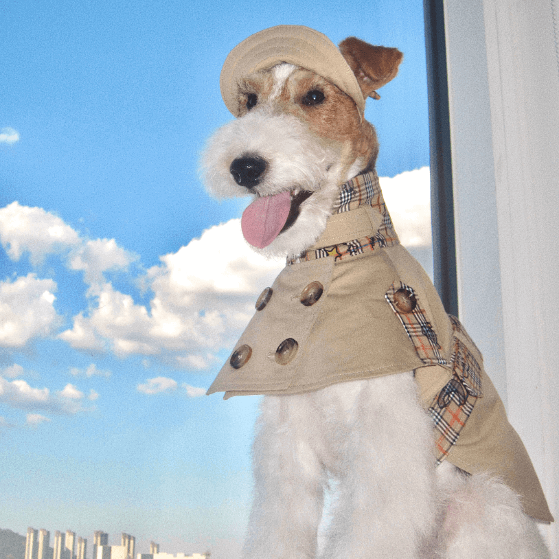 British Style Pet Cape – Warm Autumn Dog Trench Coat